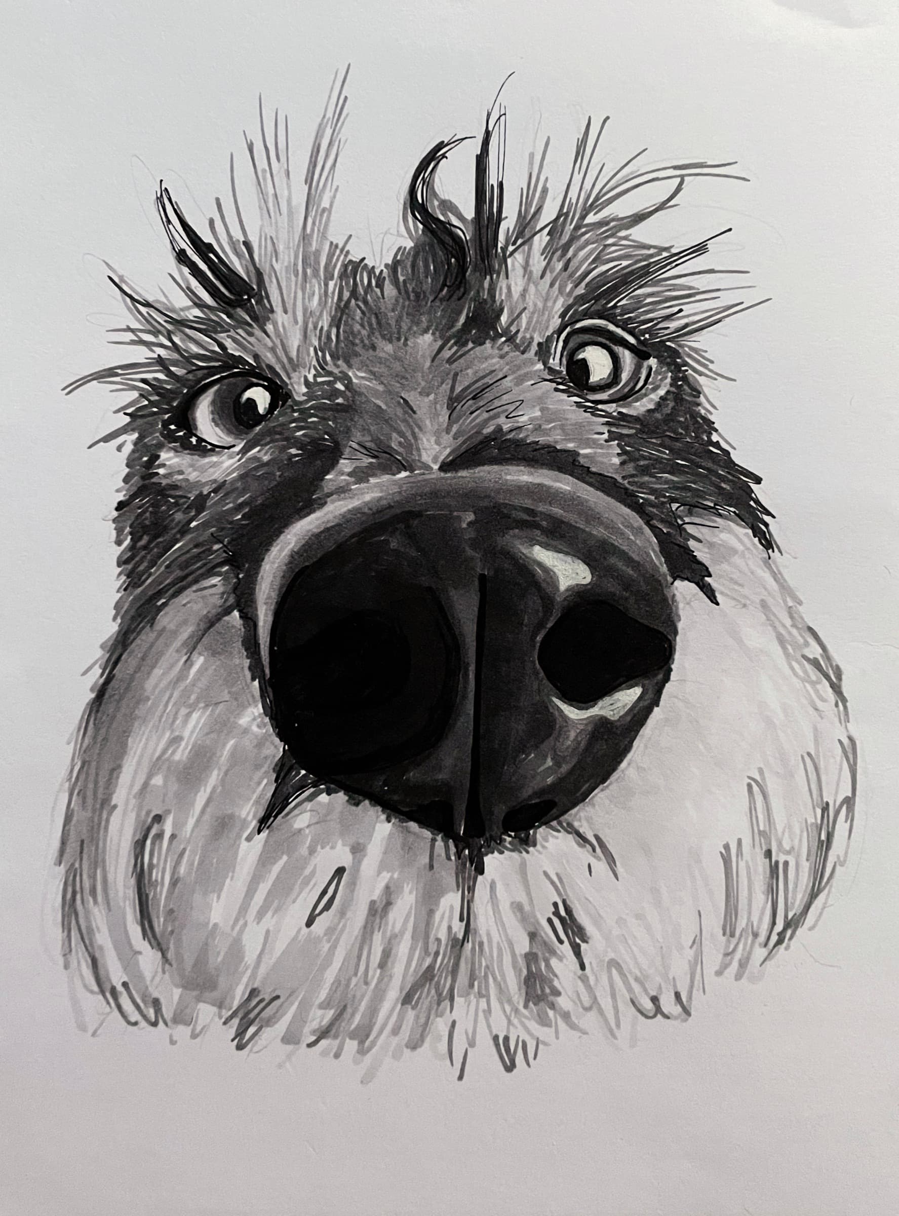 Art 1